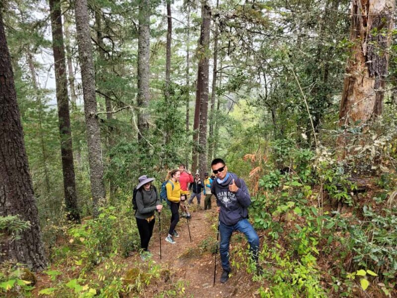 Oaxaca: Sierra Norte Ixtepeji Guided Hike & Lunch, Half-Day - An In-Depth Look at the Experience