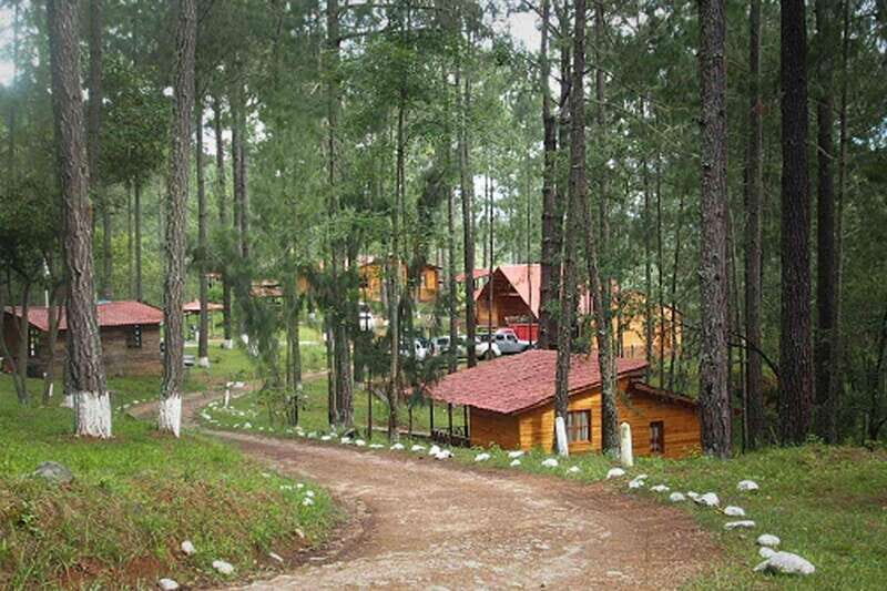 Oaxaca: Sierra Norte Tour with Zipline and Hanging Bridge - Key Points