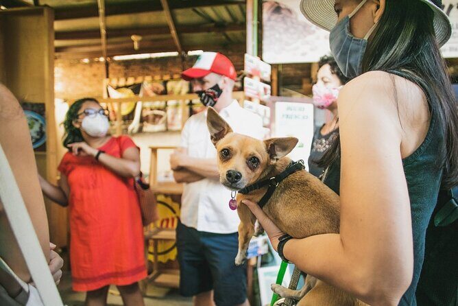 Oaxaca Street Food Tour. Signature Markets Tour - Exploring the Oaxaca Street Food Tour