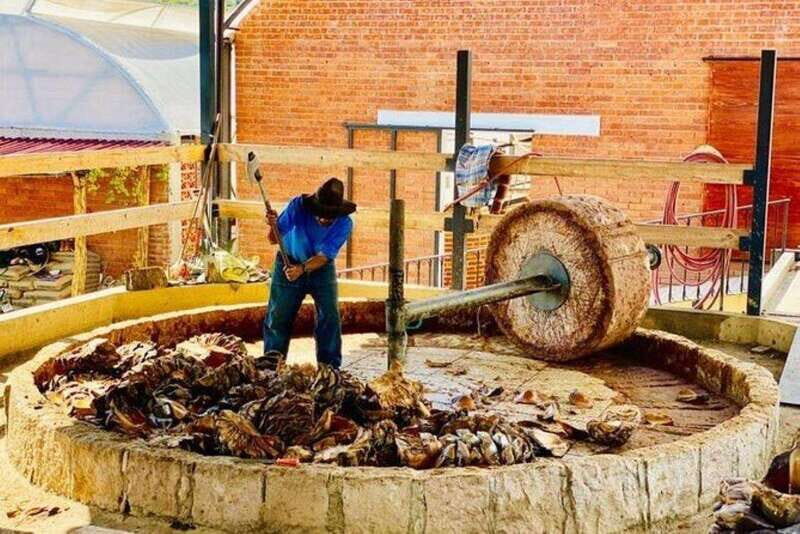 Oaxaca: Tlacochahuaya, Mezcal and Teotitlán del Valle Tour - Key Points