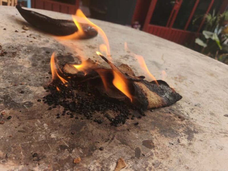 Oaxaca: Traditional Oaxacan Cooking Class - FAQ