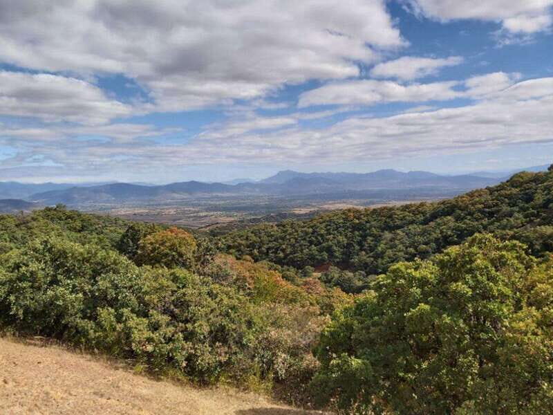 Oaxaca: Valley Mountains and Jalapilla Half Day Tour - A Deep Dive into the Experience