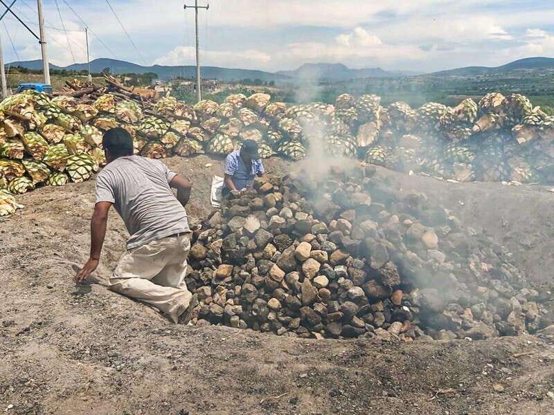 Oaxaca: Zapotec Roots, Mezcal and Textiles Tour - FAQs