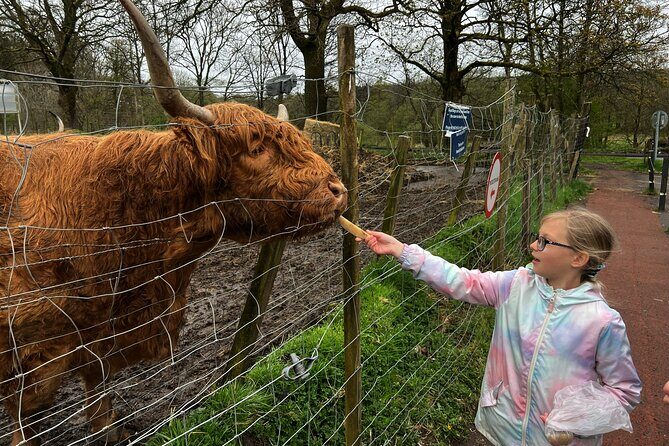 Oban, Whisky, Glencoe, Highlands, Loch Lomond Private Tour - FAQ