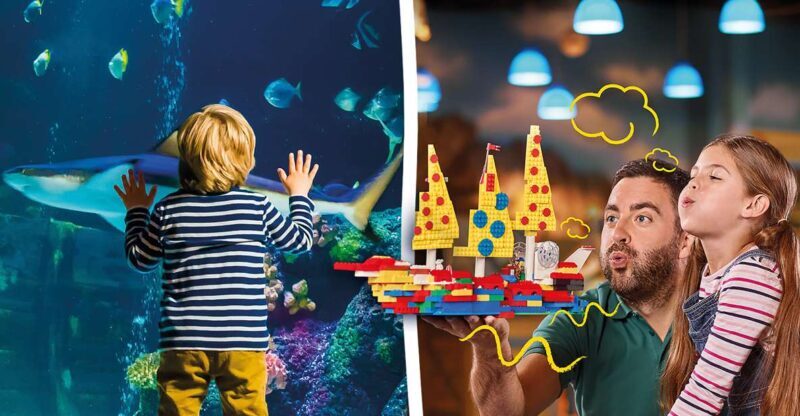 Oberhausen: LEGOLAND Discovery Centre and SEA LIFE Ticket - Who Is This Experience Best For?
