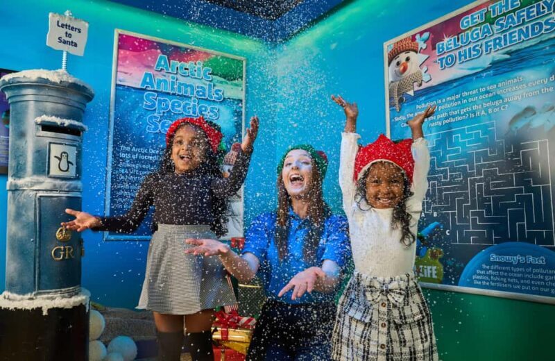 Oberhausen: SEA LIFE Oberhausen Entry Ticket - What to Expect from Your Visit to SEA LIFE Oberhausen