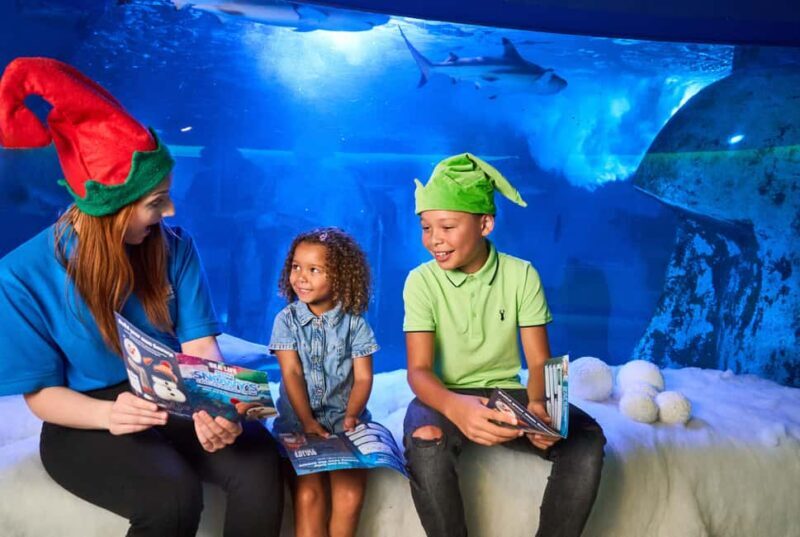 Oberhausen: SEA LIFE Oberhausen Entry Ticket - Final Thoughts