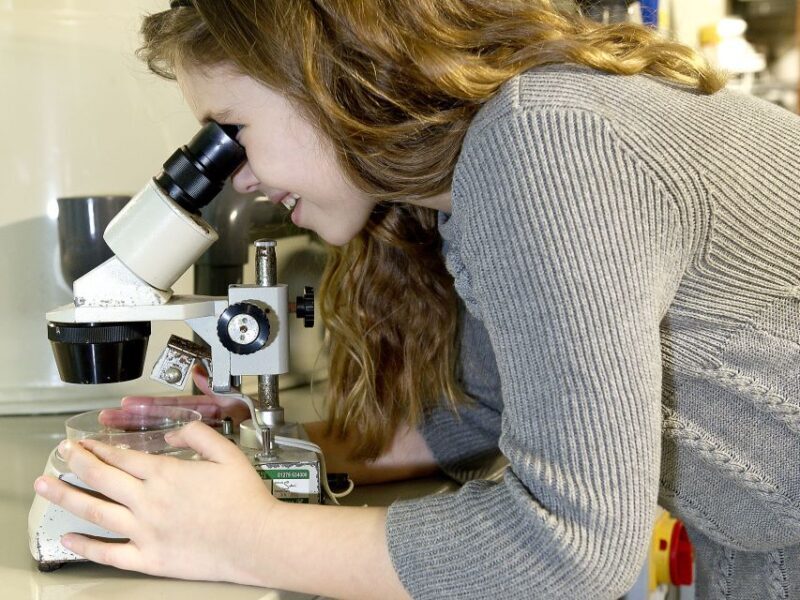 Oberhausen: SEA LIFE Ticket and Behind the Scenes Tour - FAQ