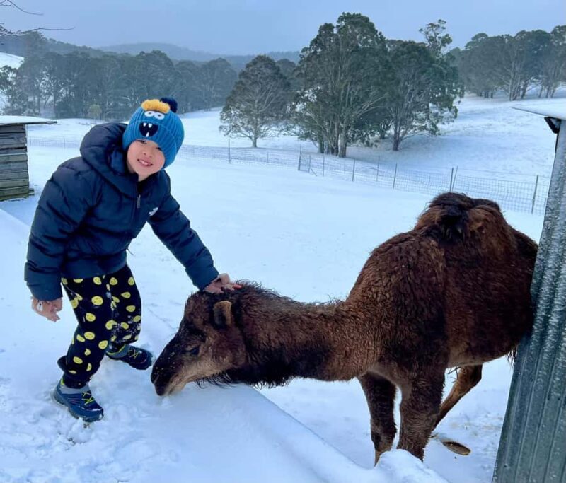 Oberon: Kenzell Farm Tour A Hands-On Animal Adventure! - Final thoughts