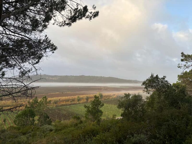 Óbidos Adventures: Walking Tours Beyond the Castle Walls - Practicalities and What to Expect