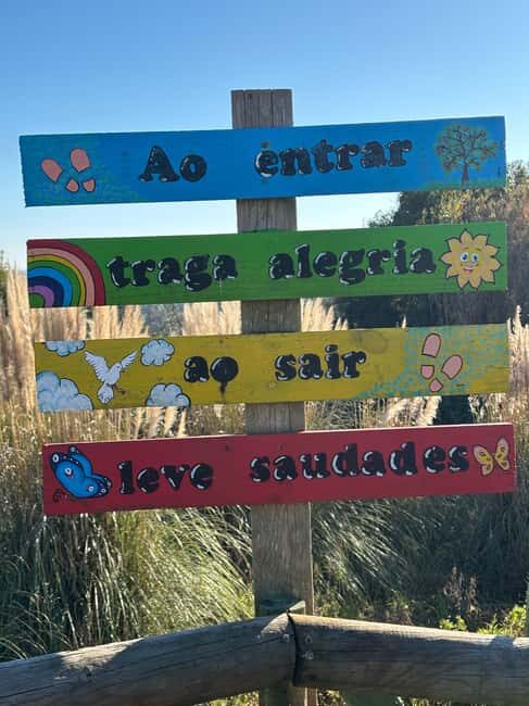 Óbidos Adventures: Walking Tours Beyond the Castle Walls - What Past Travelers Say