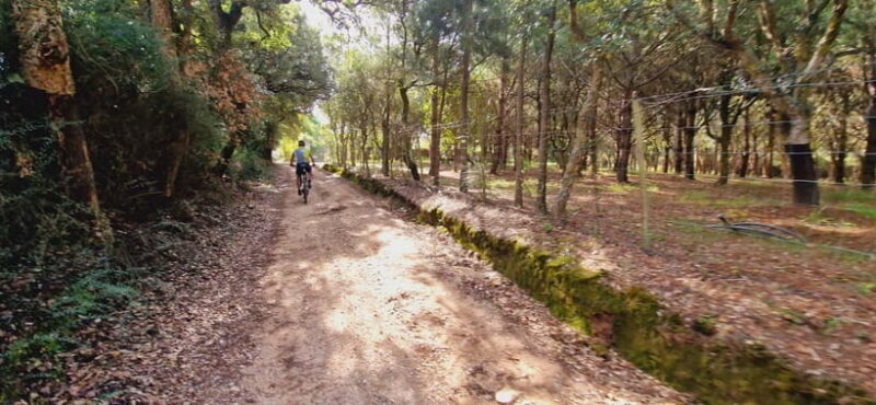 Óbidos: E-Bike Tour to Quinta do Gradil with Wine Tasting - Key Points