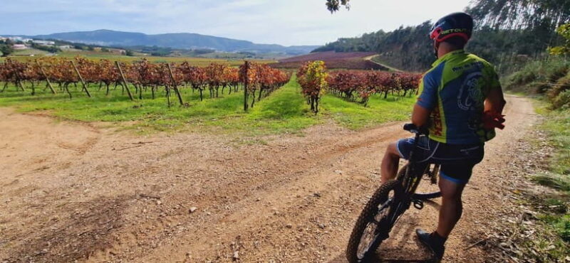 Óbidos: E-Bike Tour to Quinta do Gradil with Wine Tasting - Exploring Óbidos: The Village Charm