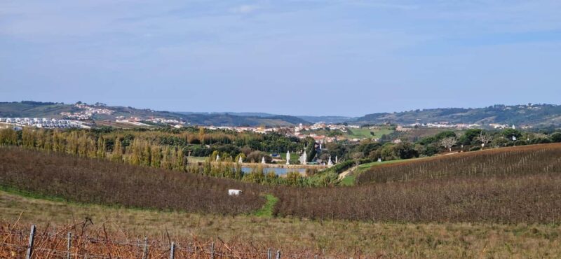 Óbidos: E-Bike Tour to Quinta do Gradil with Wine Tasting - Practical Details & Considerations