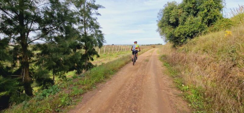 Óbidos: E-Bike Tour to Quinta do Gradil with Wine Tasting - What to Bring and Important Tips
