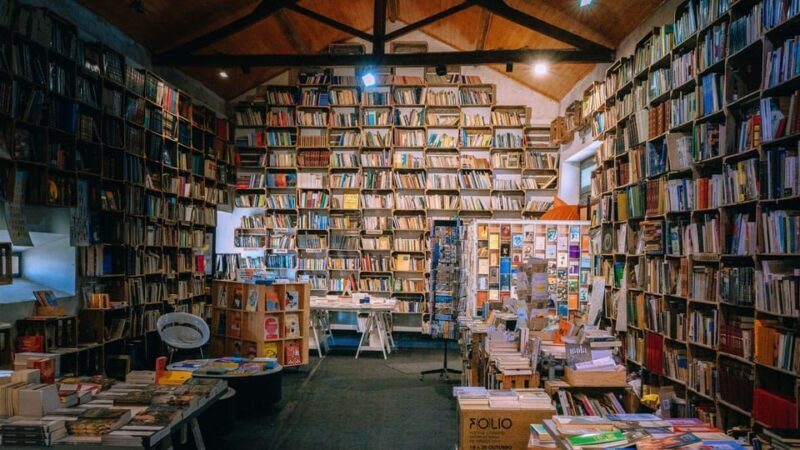 Óbidos & Nazaré Private Tour - Final Thoughts: Who’s This Tour Best For?