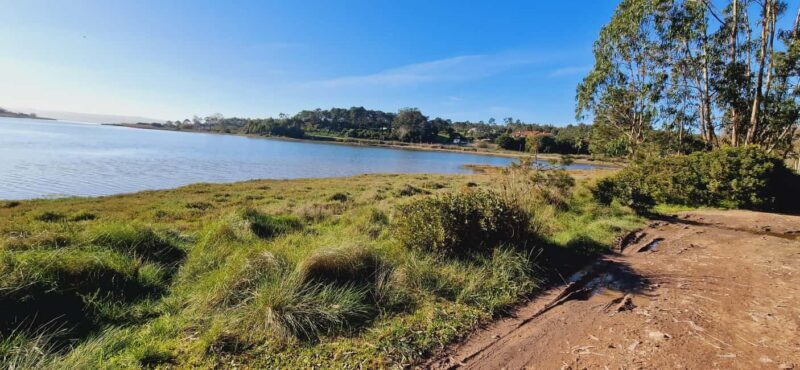 Óbidos to Peniche: Explore the Atlantic Coast E-bike Tour - The Value and Overall Impression