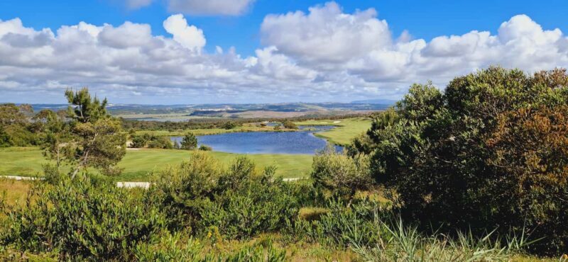Óbidos to Peniche: Explore the Atlantic Coast E-bike Tour - Who Would Love This Tour?