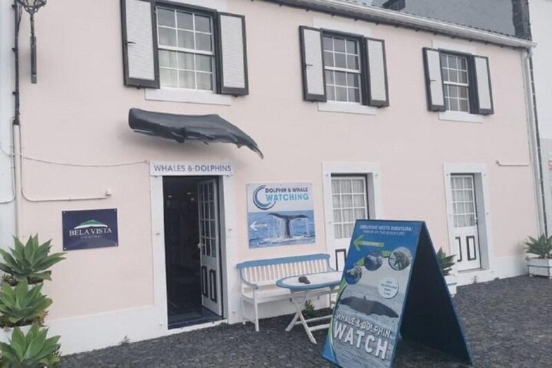 Observation of whales and dolphins in island Pico - FAQs