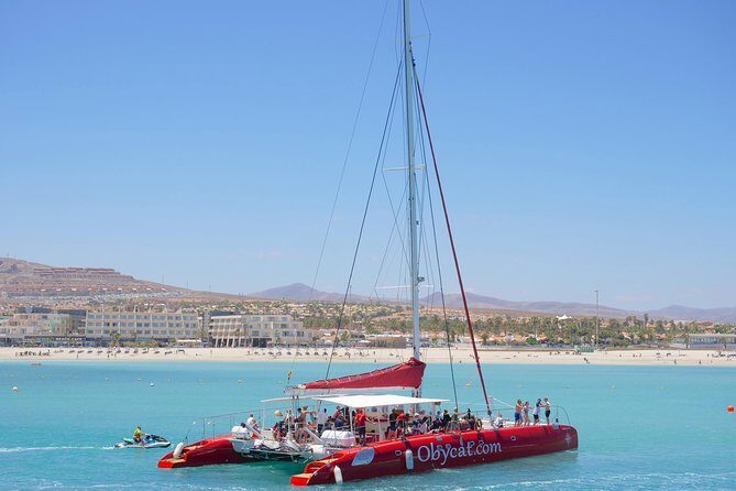 OBYCAT Experience - What is the OBYCAT Experience?