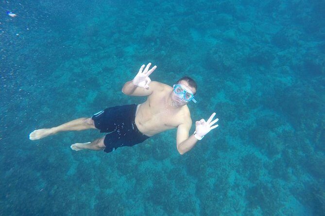 OBYCAT Experience - Group Size and Booking Details