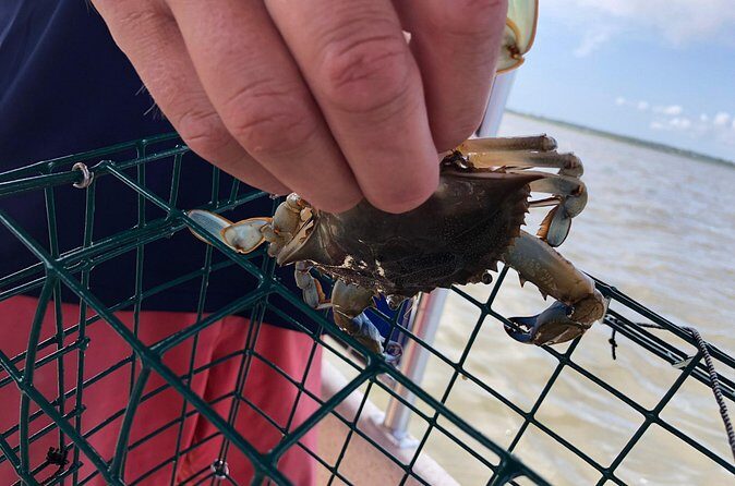 OC Bay Hopper Crabbing - FAQ