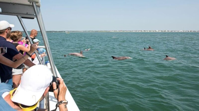 Ocean City, MD: Coastal Speedboat Tour with Dolphin Spotting - What to Expect from the Speedboat Tour