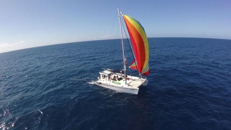 Ocean City: Sailing Catamaran Cruise with Crew - What You’ll Do Onboard