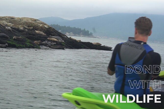 Ocean is Yours Seadoo Experience from Vancouver - The Verdict: Is It Worth It?
