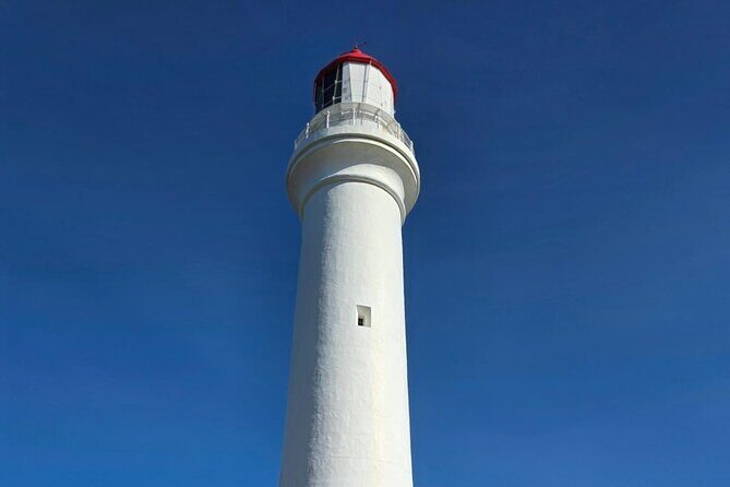 Ocean Road Private Tour from Melbourne - Who Is This Tour Best Suited For?