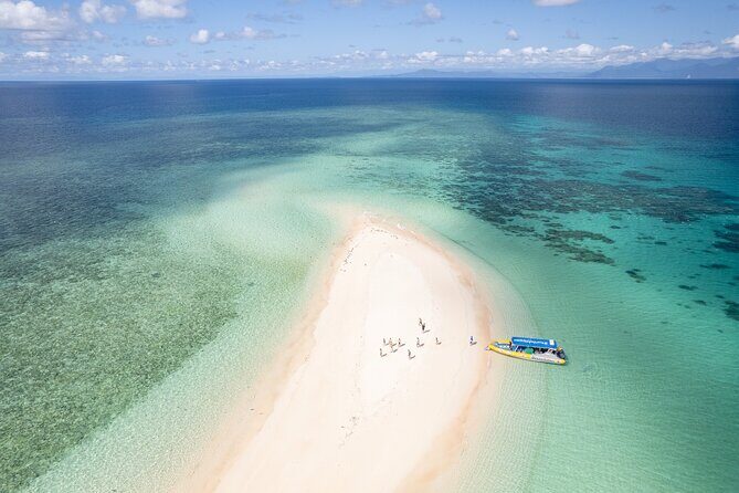 Ocean Safari Great Barrier Reef Experience in Cape Tribulation - The Experience: What to Expect