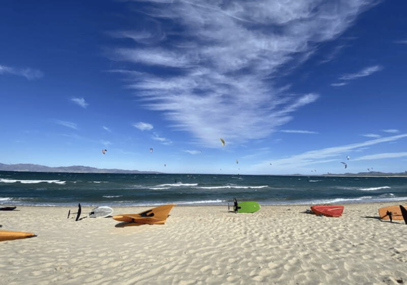 Ocean Safari in La Ventana BCS - The Sum Up