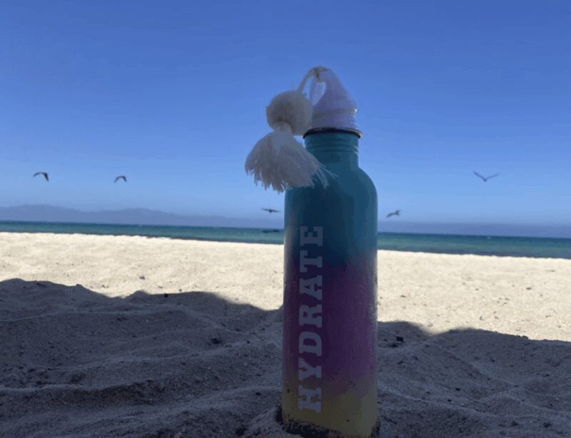 Ocean Safari in La Ventana BCS - FAQ