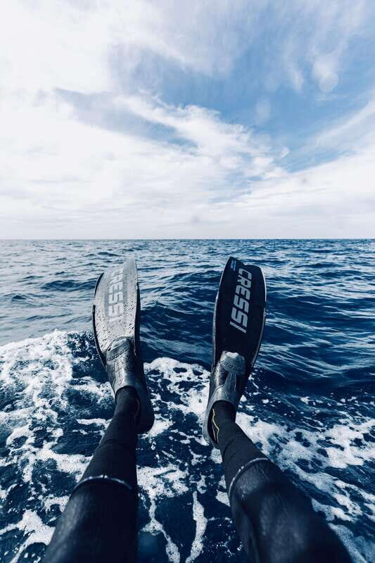 Ocean Safari in San Jose del Cabo - Included in the Experience