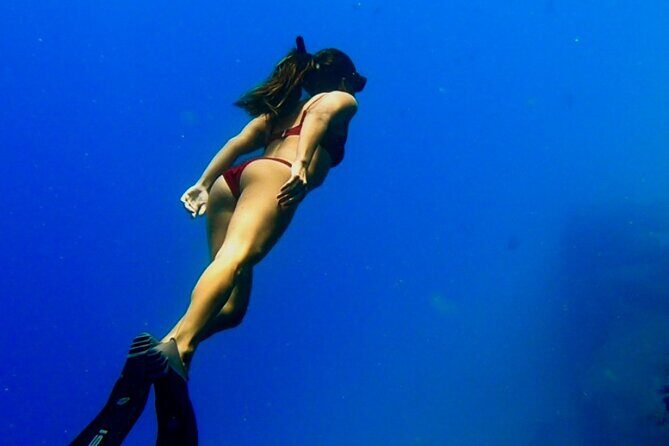 Ocean Safari Tour in Cabo San Lucas - Who Is This Tour Best For?