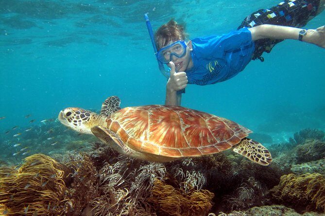 Ocean Spirit Sail to Michaelmas Cay Snorkel or Dive, from Cairns - Introduction: An Overview of the Ocean Spirit Reef Adventure