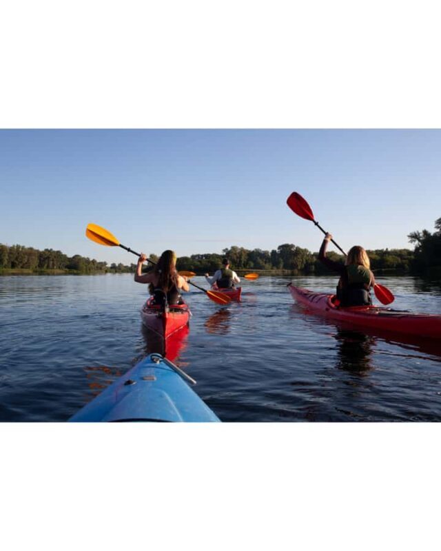 Ocean Springs: Guided Kayak Tour - Ocean Springs: Guided Kayak Tour – A Relaxed Way to See the Coast