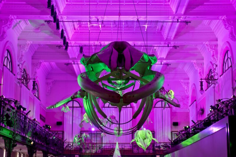 Oceanographic Museum of Monaco Ticket - The Rooftop Terrace: Views and Relaxation