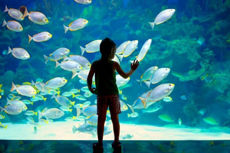 Oceanographic Museum of Monaco Ticket - What Are Visitors Saying?