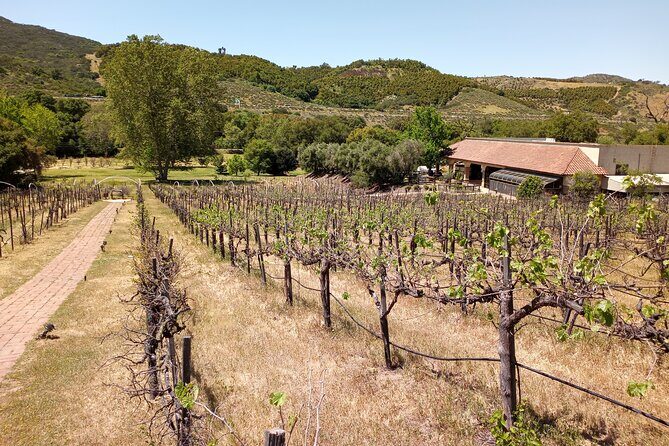 Oceanside, Auto Museum & Winery Tour & Tasting - Who Will Love This Tour?