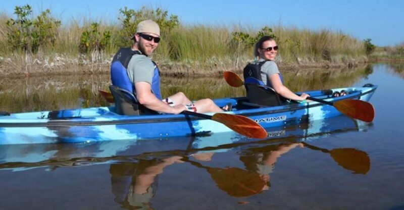 Ochopee: Half-Day Mangrove Tunnel Kayak Tour - The Experience: What to Expect on the Tour