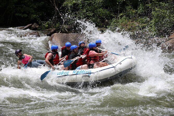 Ocoee River Middle Whitewater Rafting Trip (Most Popular Tour) - Summary: Who Should Consider This Tour?