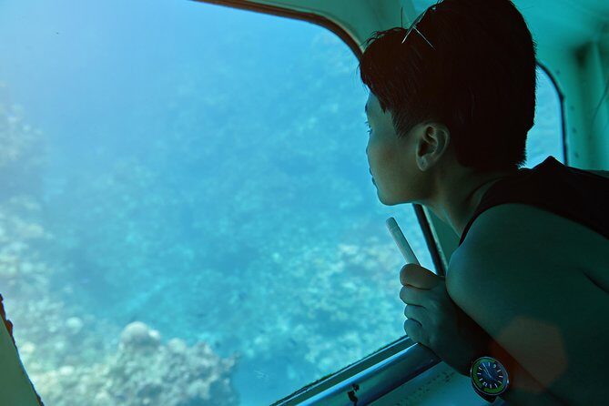 Odyssee 3: The Glass Bottom Boat Tour in Fuerteventura - Key Points