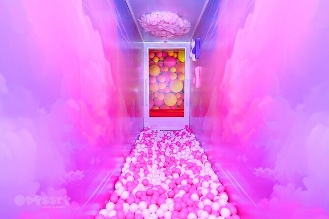 Odyssey Sensory Maze Entry Auckland Ticket - The Experience Layout in Detail