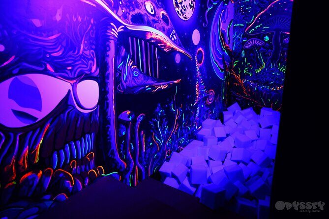 Odyssey Sensory Maze Entry Auckland Ticket - The Sum Up