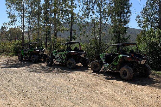 Off-road buggy tour Sierra de Mijas buggy 2h - Who Would Enjoy This Tour Most?