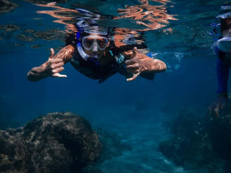 Off Road Coastal Tour 4x4 Vehicle With Snorkel Photo+Video - What We Love About This Tour