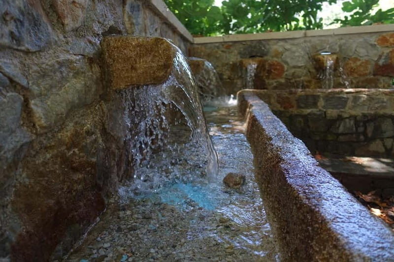 Off-Road: Natural Lake, Mountain Gorges, Palm Forest & Beach - Key Points