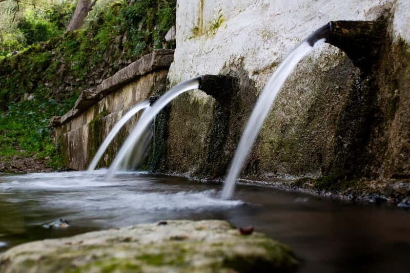 Off-Road: Natural Lake, Mountain Gorges, Palm Forest & Beach - A Closer Look at the Itinerary