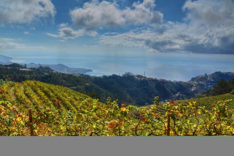 Off-Road Nun's Valley & Sea Cliff Jeep Safari - FAQ